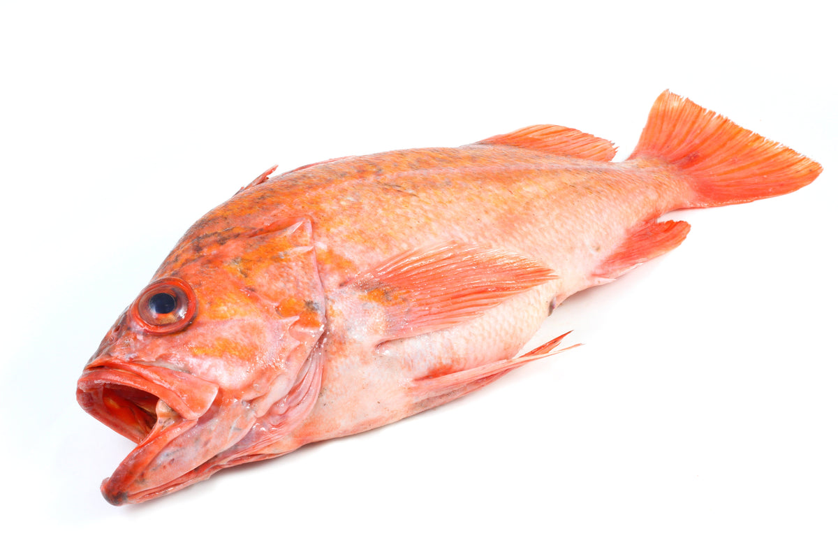 Channel Islands - Vermilion Rockfish – Santa Barbara Fish Market