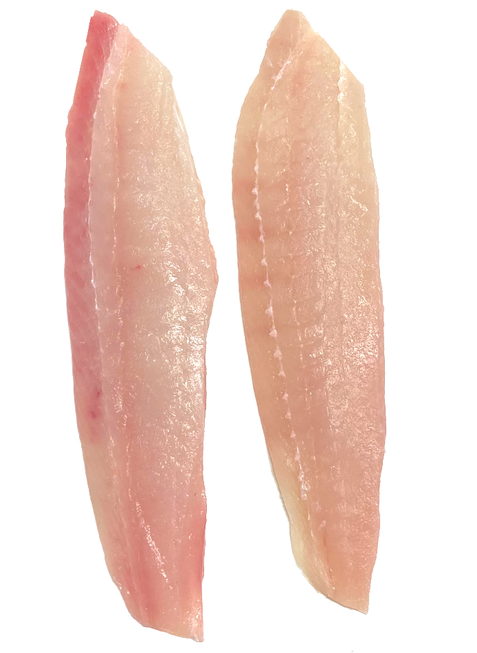 Buy Squid Ink – Santa Barbara Fish Market